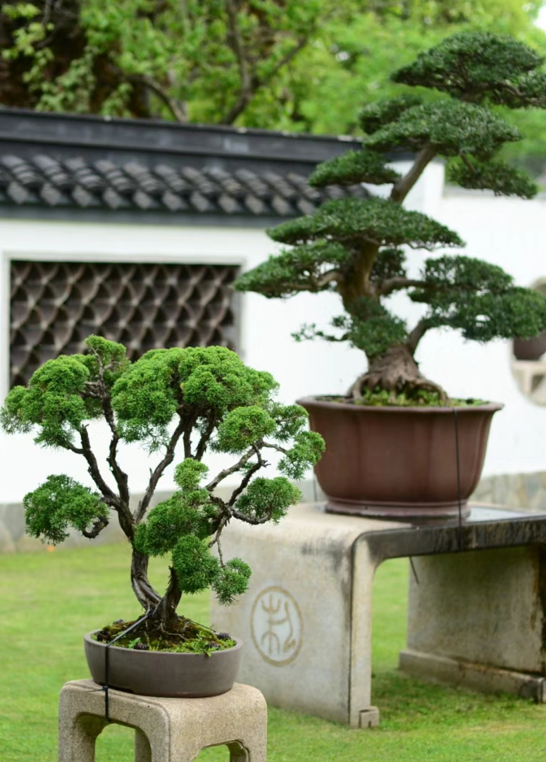 心在南湖 更有年味 | 第一屆南湖游園會即將“龍”重登場 心在南湖 更有年味 | 第一屆南湖游園會即將“龍”重登場